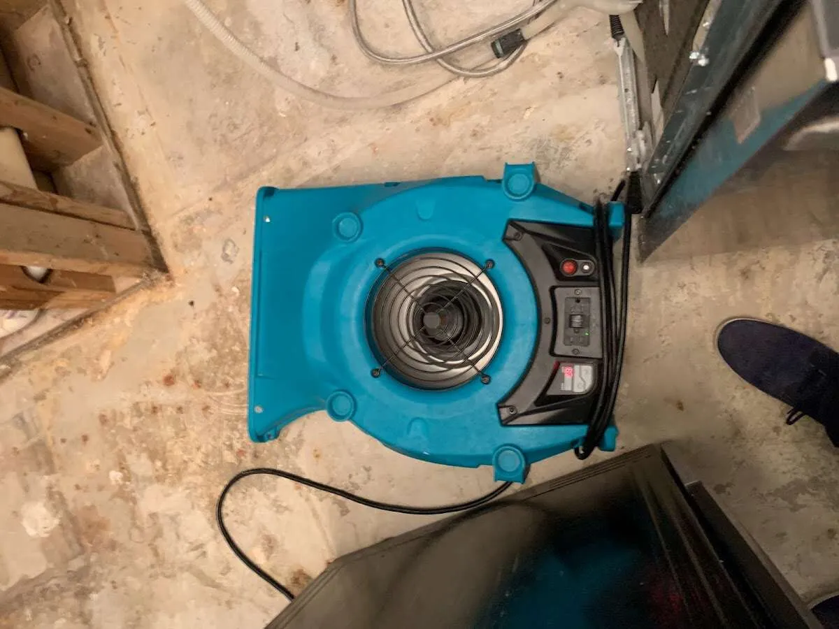 Air mover drying equipment for Mold Remediation & Removal in Neptune Beach