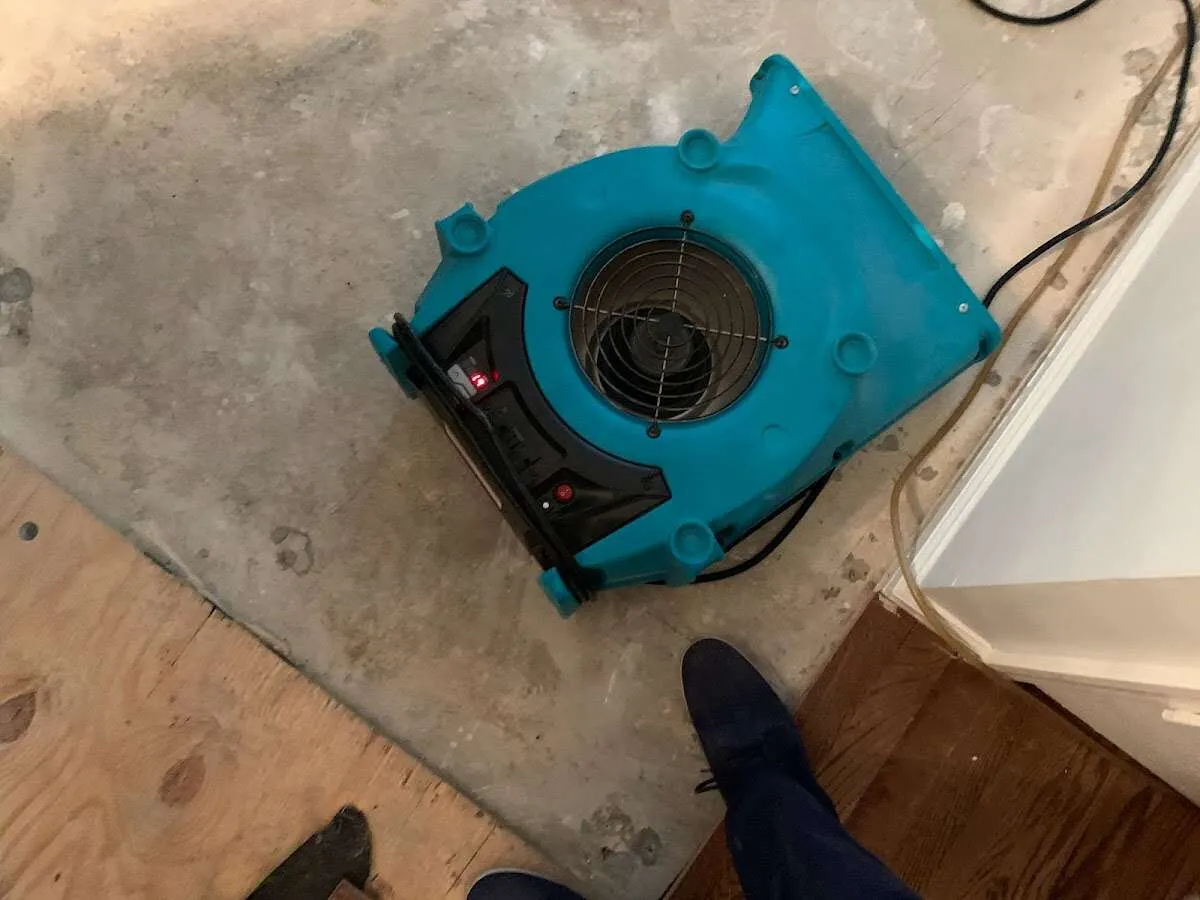 Air mover drying subfloor during Leak Detection & Repair in Neptune Beach